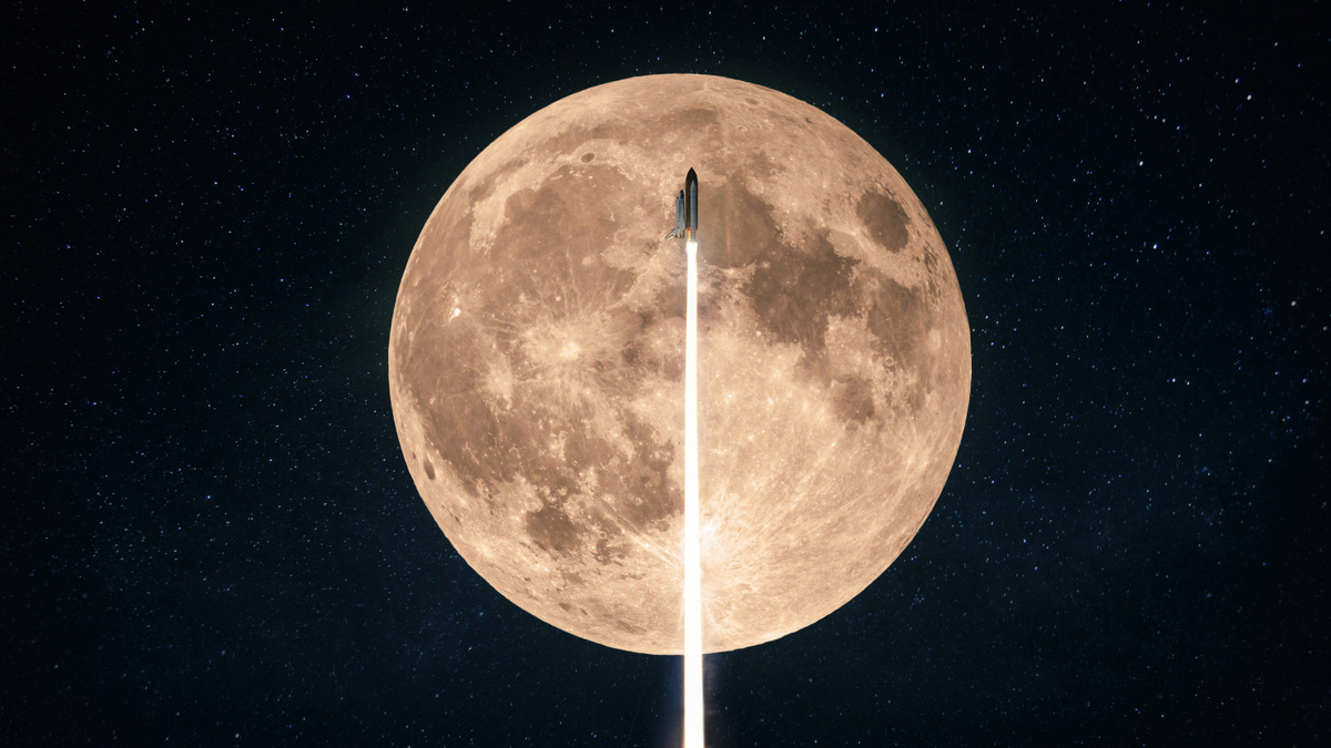     Фото: Alones/Shutterstock/FOTODOM