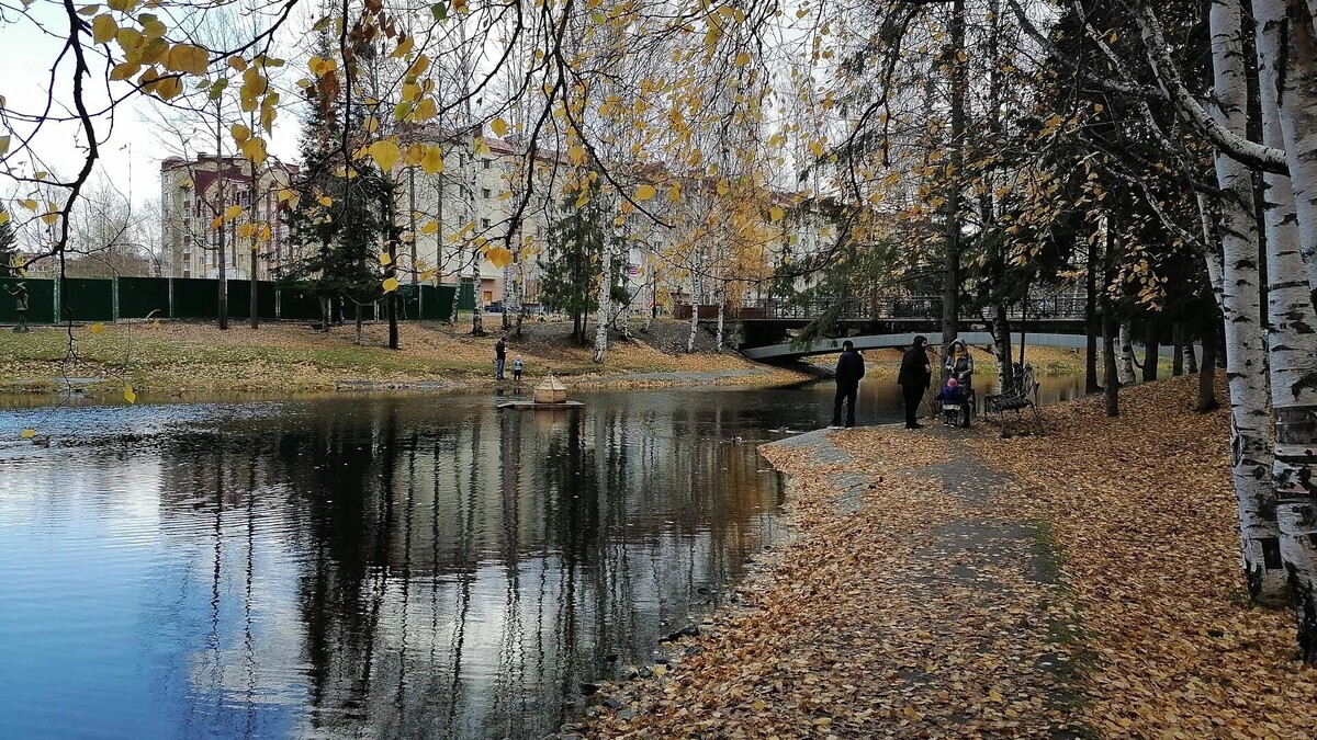     Источник: 1MI