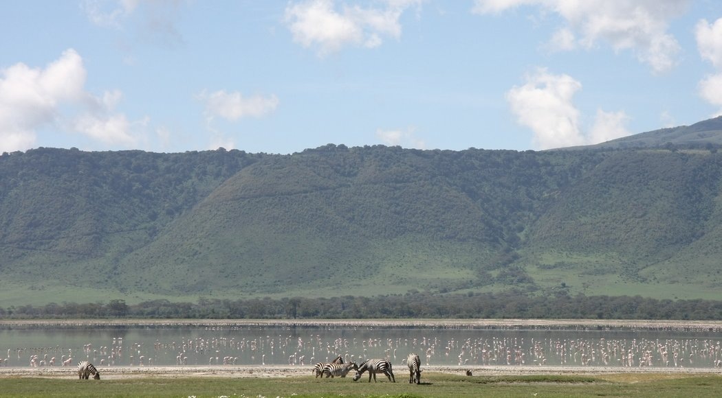    Фото: НИА "Экология"