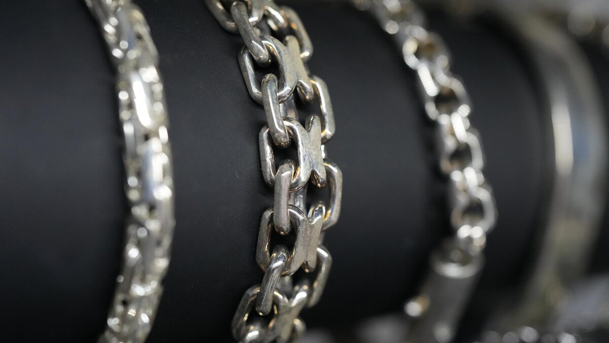 Фото: ИЗВЕСТИЯ/Дмитрий Коротаев