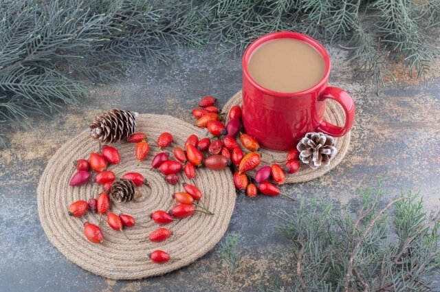    На Руси в этот день собирали шиповник. Фото: freepik.com/ azerbaijan_stockers