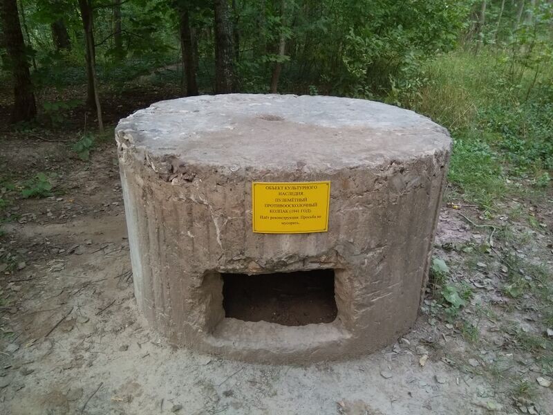 Фото Николая Омонова