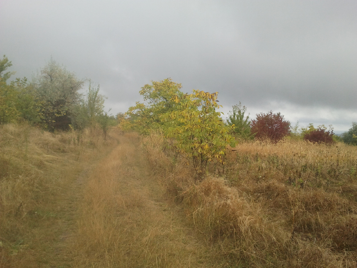 Фото автора