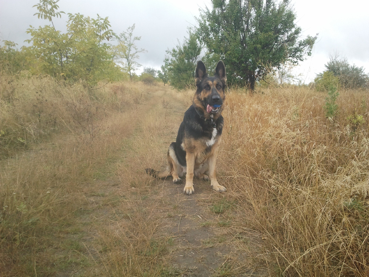 Фото автора