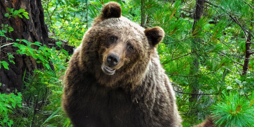 Заповедный дайджест. Сентябрь 2025