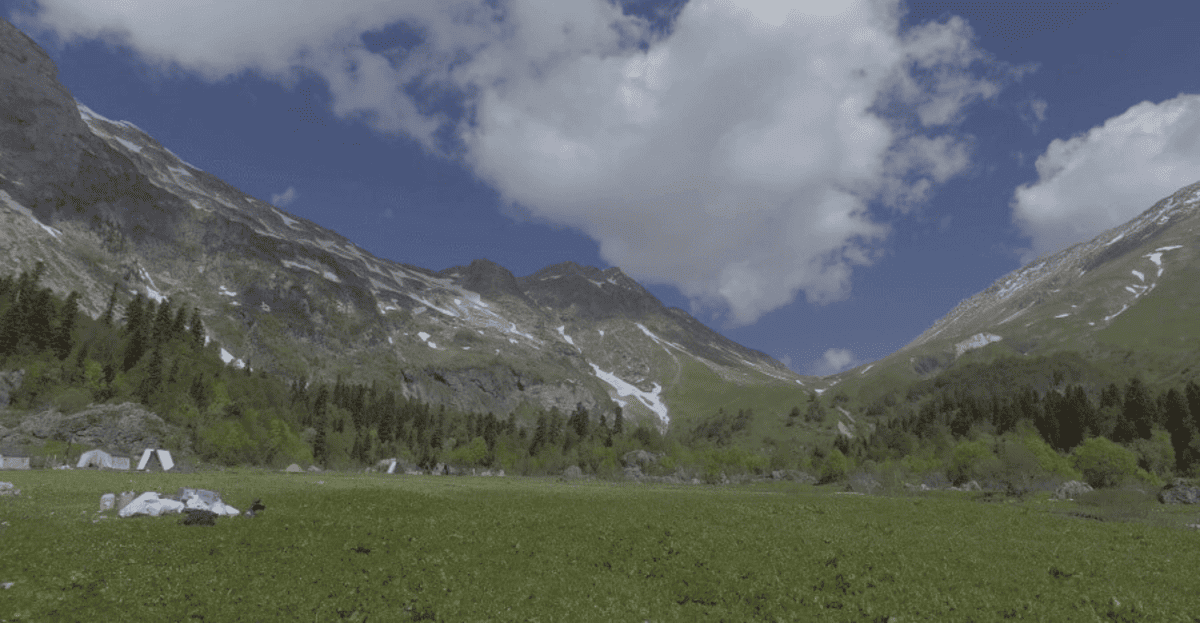    Фото пресс-службы Кавказского биосферного заповедника