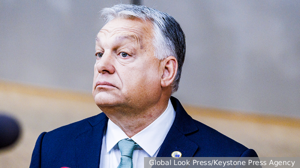    Фото: Global Look Press/Keystone Press Agency   
 Текст: Валерия Городецкая