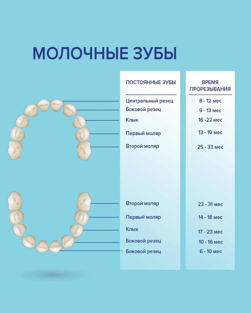 Таблица, которая спасёт нервные клетки родителей