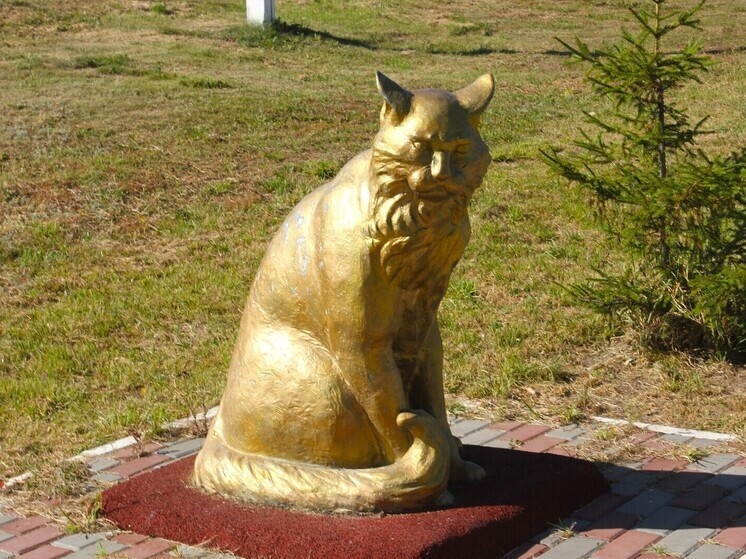     фото: мк в самаре