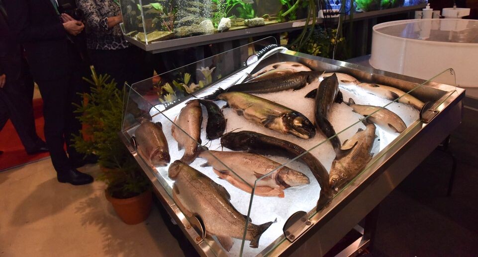    Медиасток.рф