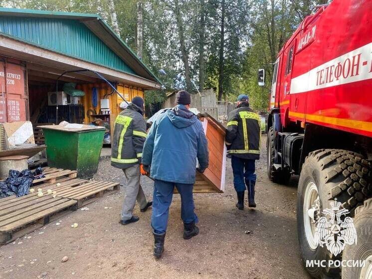     Они отремонтировали домики для собак, привели в порядок территорию и создали комфортные условия для 300 хвостиков. Фото: пресс-служба МЧС по Новгородской области