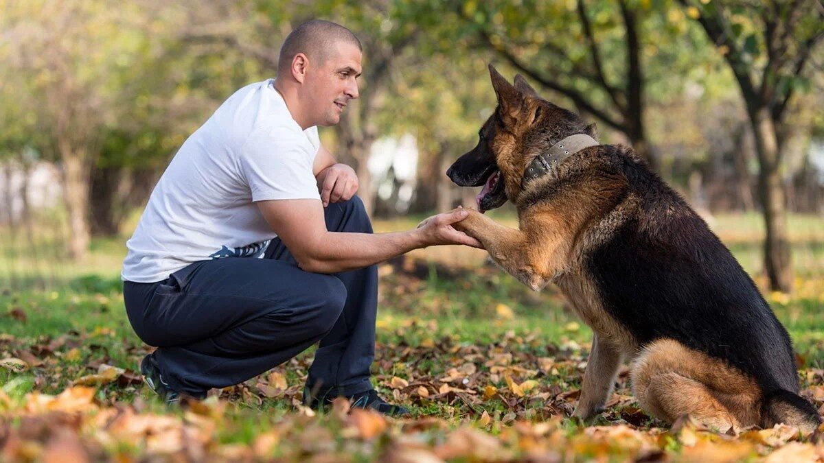 Фото из Яндекса 