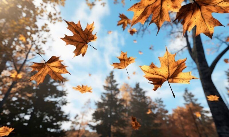    Фото freepik.com