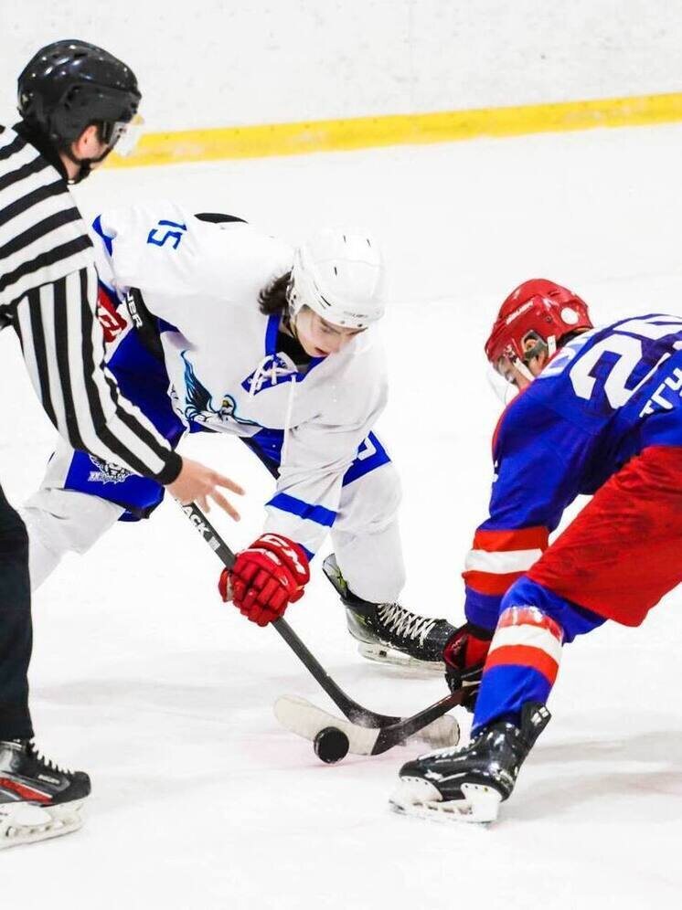     Источник: ХК «Держава»