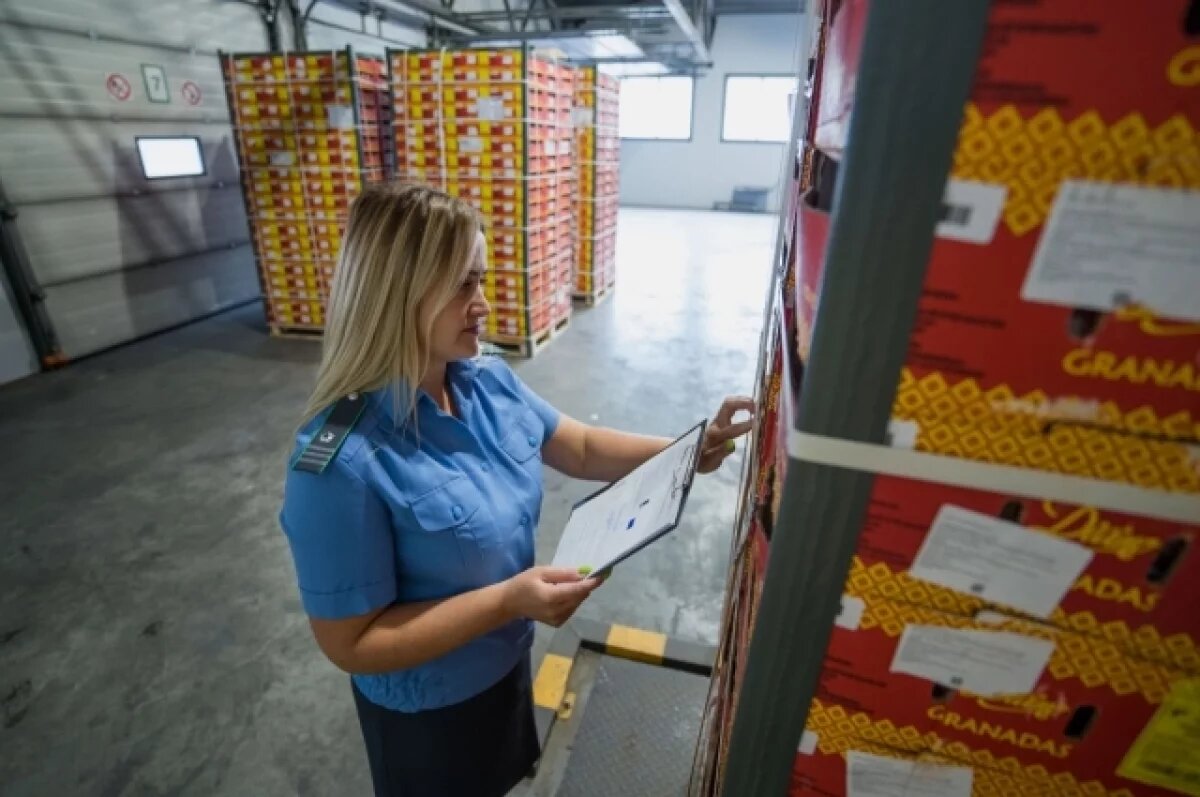    Россельхознадзор выявил 49 нарушений при перевозке нижегородских продуктов