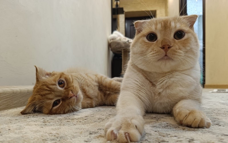    Фото Светланы Журавка. admin