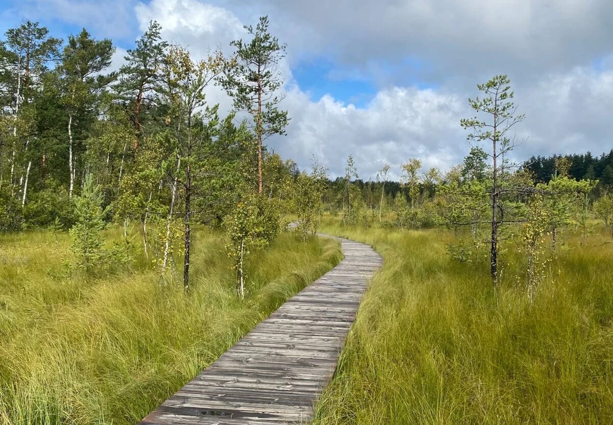 Фото: UfaTime.ru