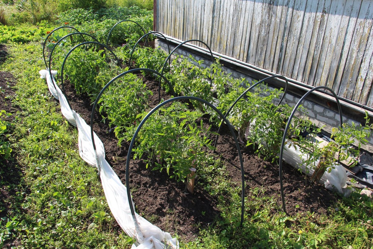 Фото из архива "МК в Калининграде"