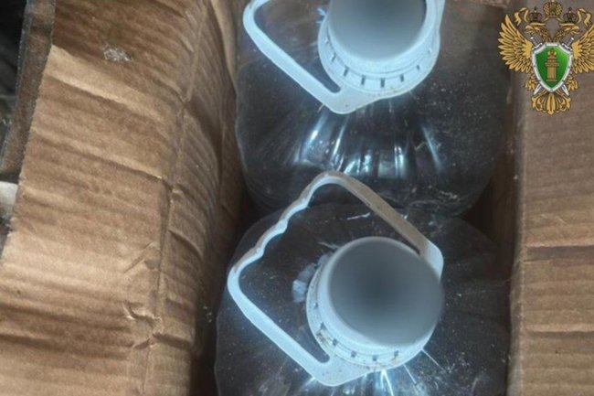    Фото: Прокуратура Ленинградской области