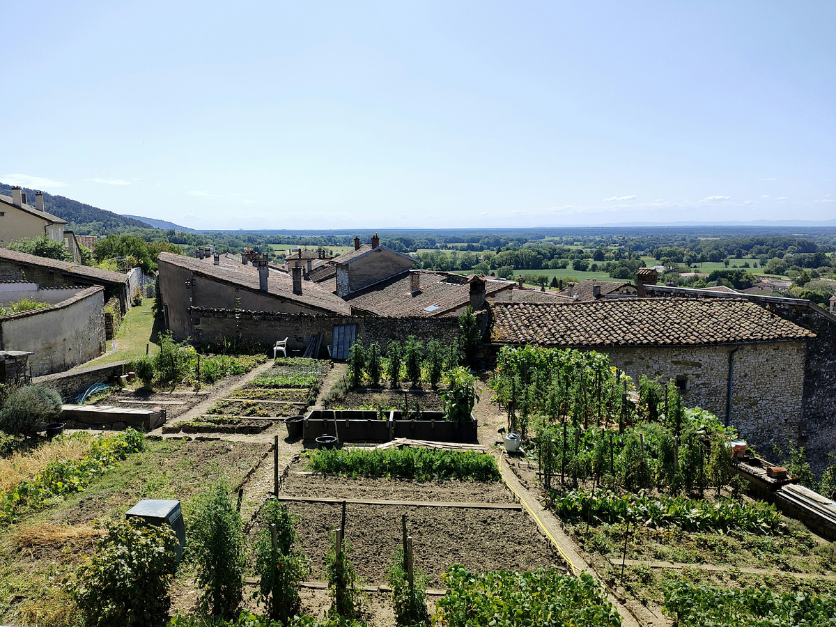 Автор фото Adrien Fu на Unsplash