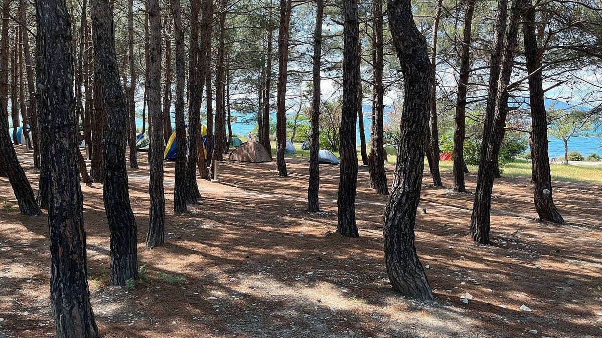    Фото: телеканал «Краснодар»