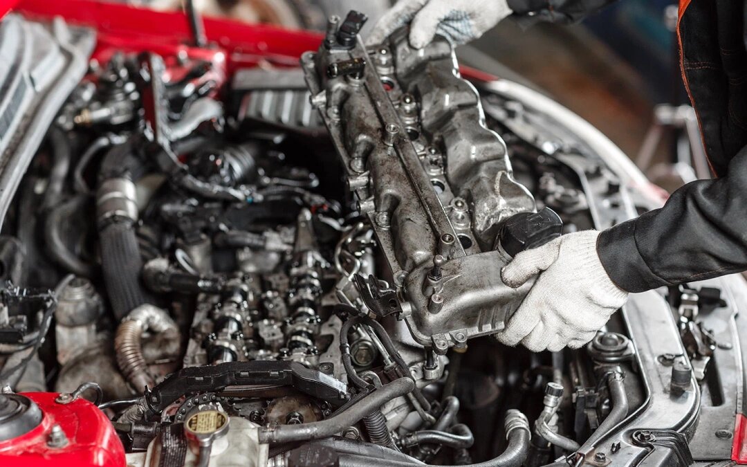 Фото: Fusionstudio / Shutterstock / FOTODOM