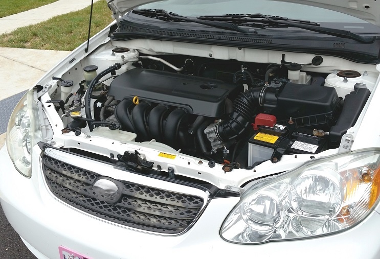    Фото: pxhere.com Василий Шеин