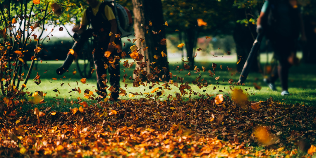 Кто отвечает за уборку двора многоквартирного дома