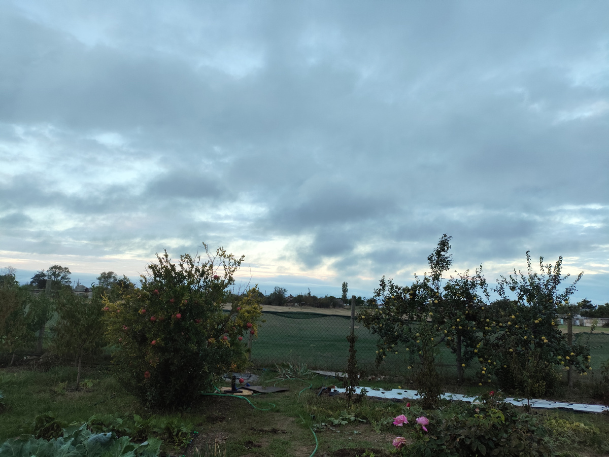 Хотя нет, вон чуть розовеет )))