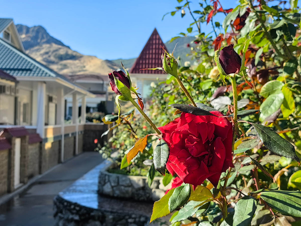 Сегодня. Фото автора канала