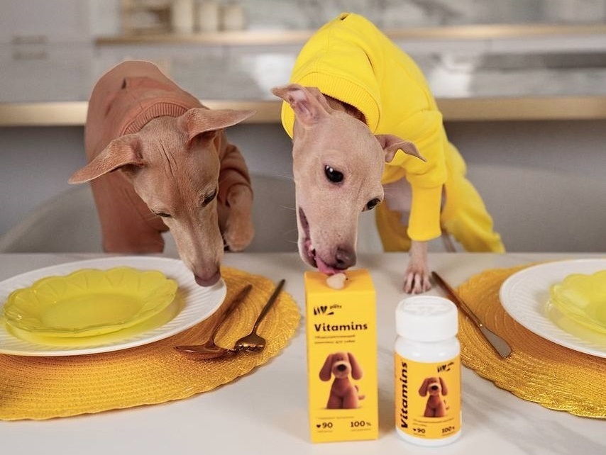 еrid: 2W5zFGrkAaU / Источник: NL