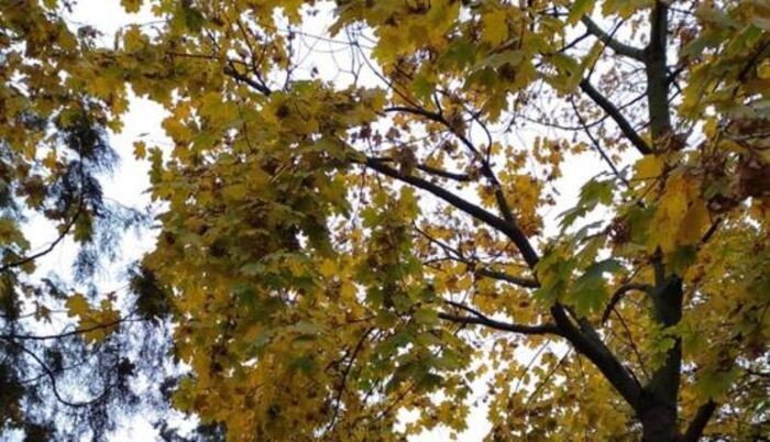 Иллюстрация: © «Панорама»