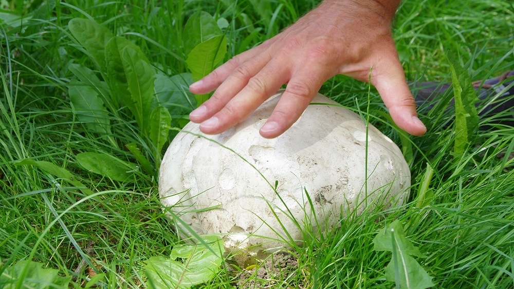     Фото: Marek BAZAK/East News