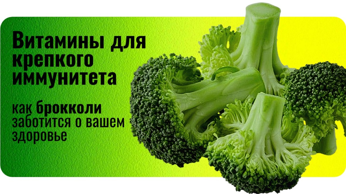 Овощ брокколи