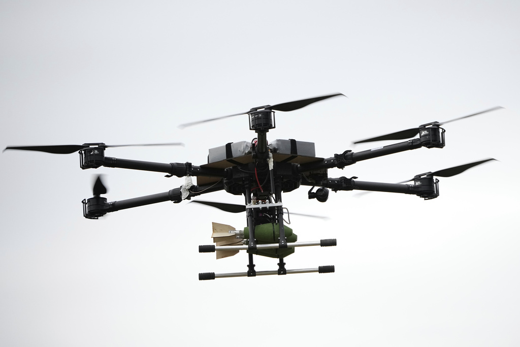 © AP Photo / Pavel Bednyakov