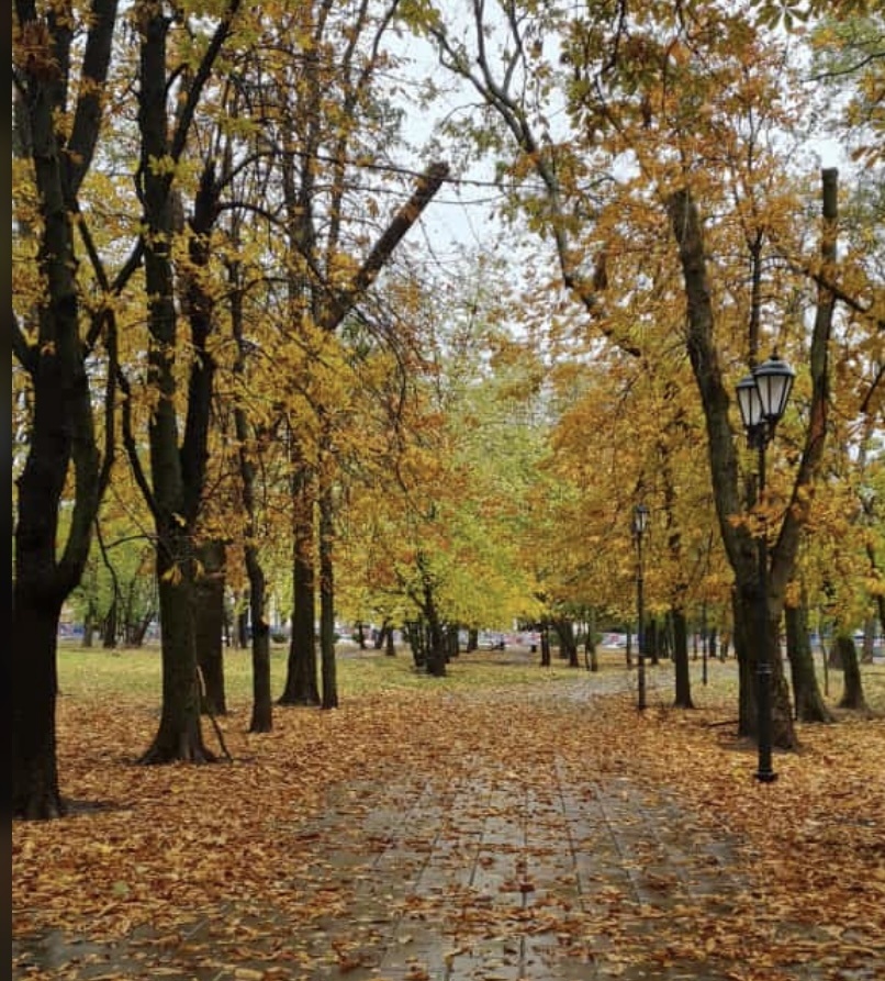    Фото: "Веселовские вести" Веселовские вести