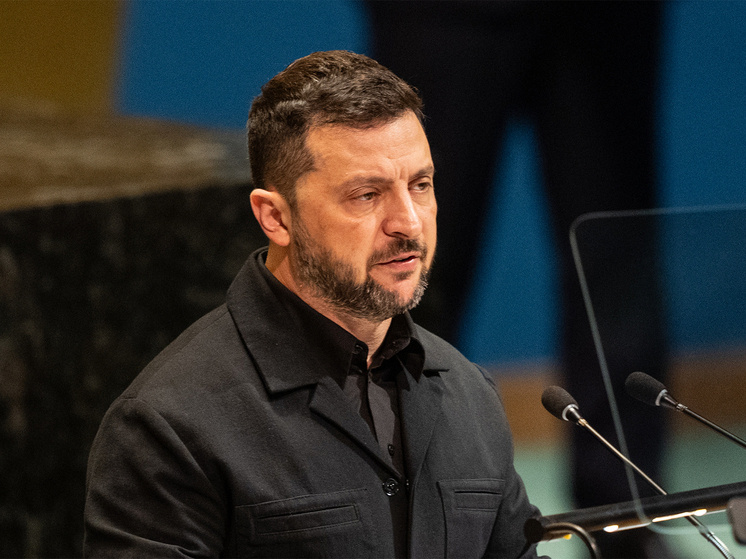 Фото: Lev Radin/Keystone Press Agency/Global Look Press
