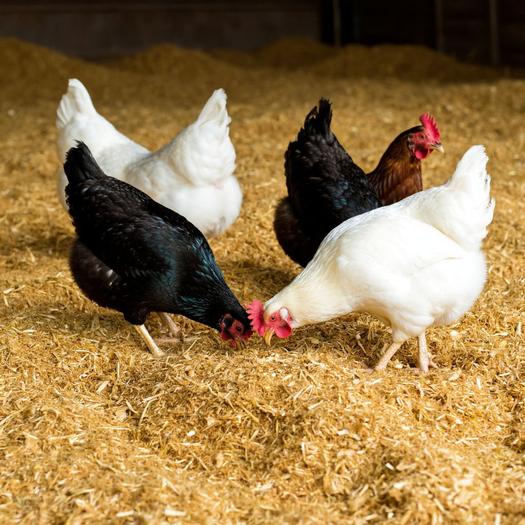 Картинка для статьи