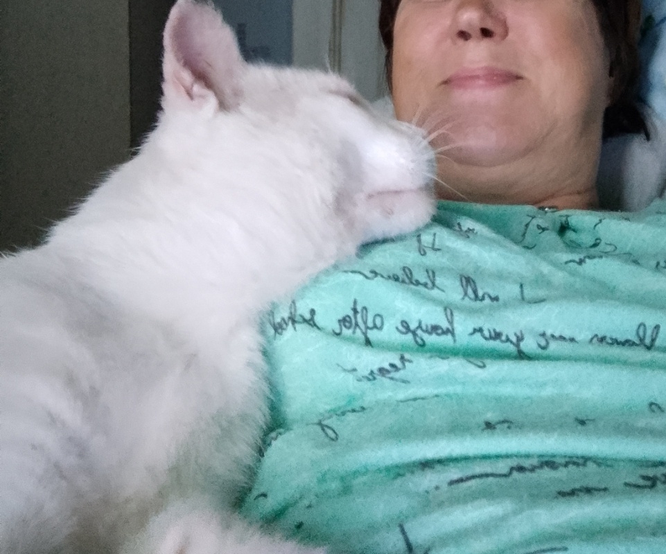 Любовь у нас обоюдная