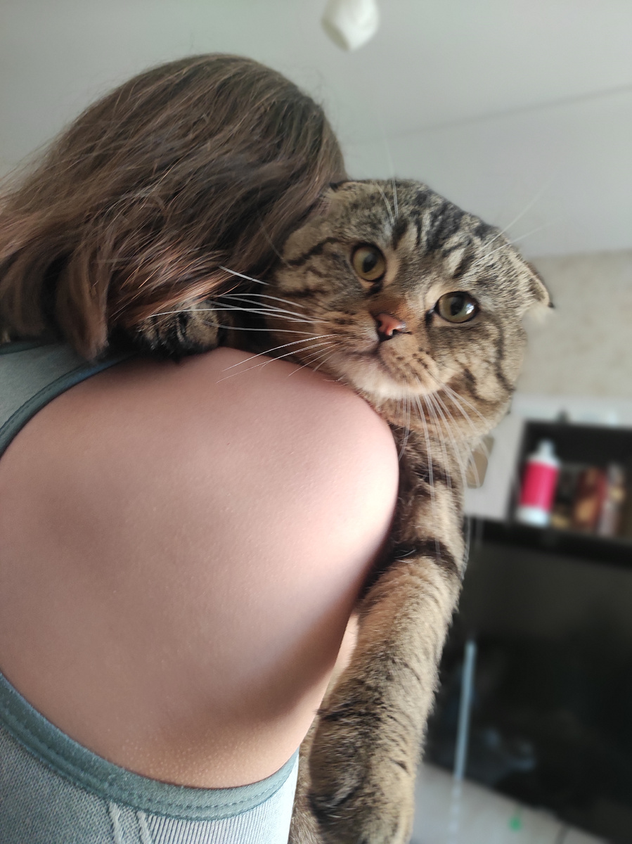 Всем привет! Я нормально, супер гуд)