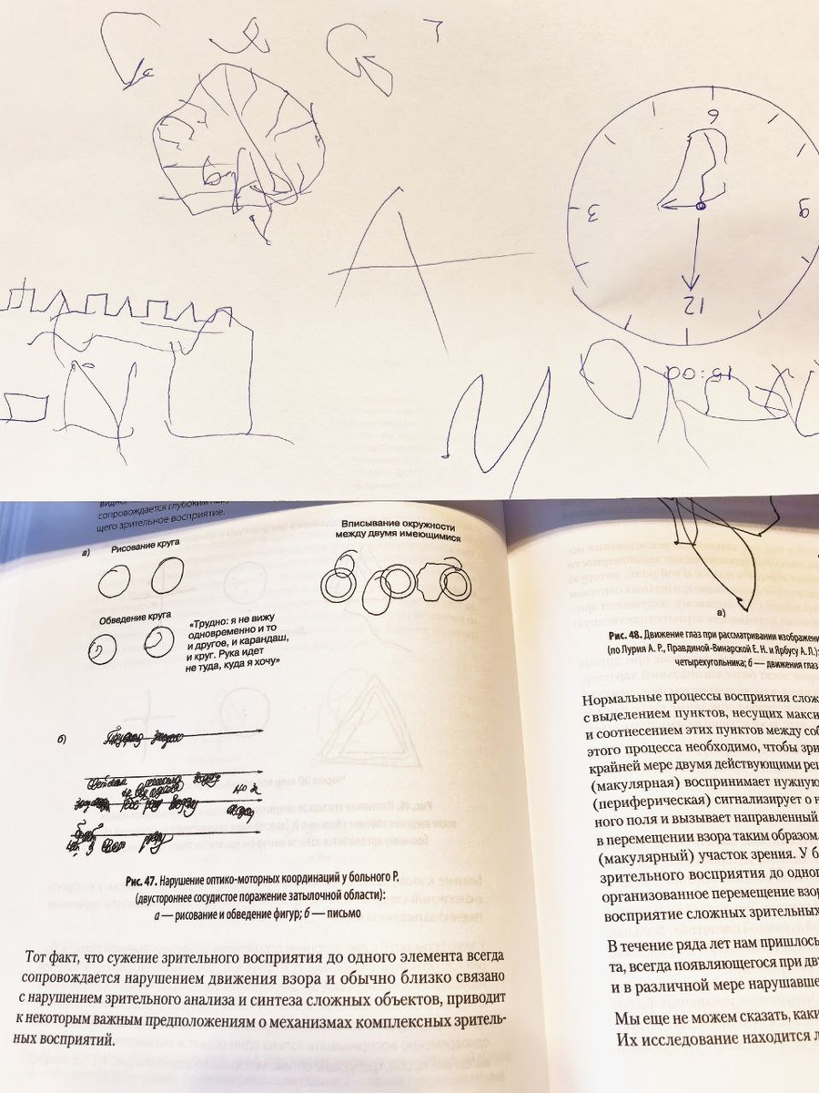 рисунок Антона и та самая глава