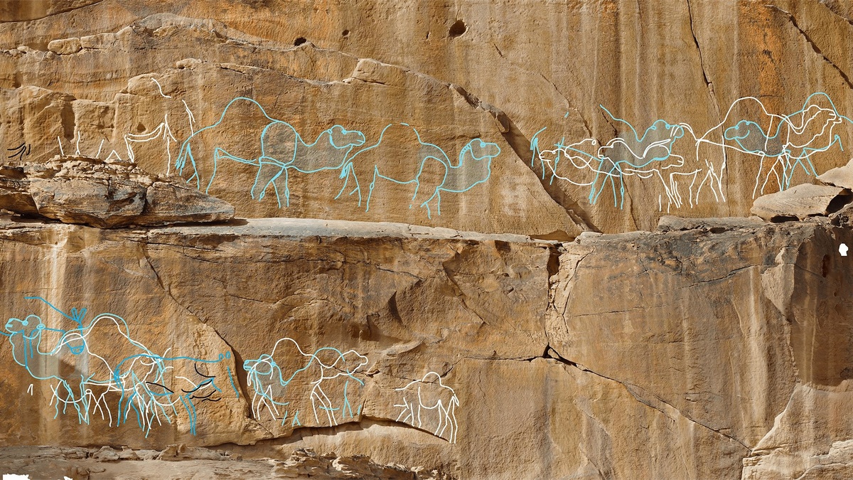 Древние верблюды на наскальных рисунках