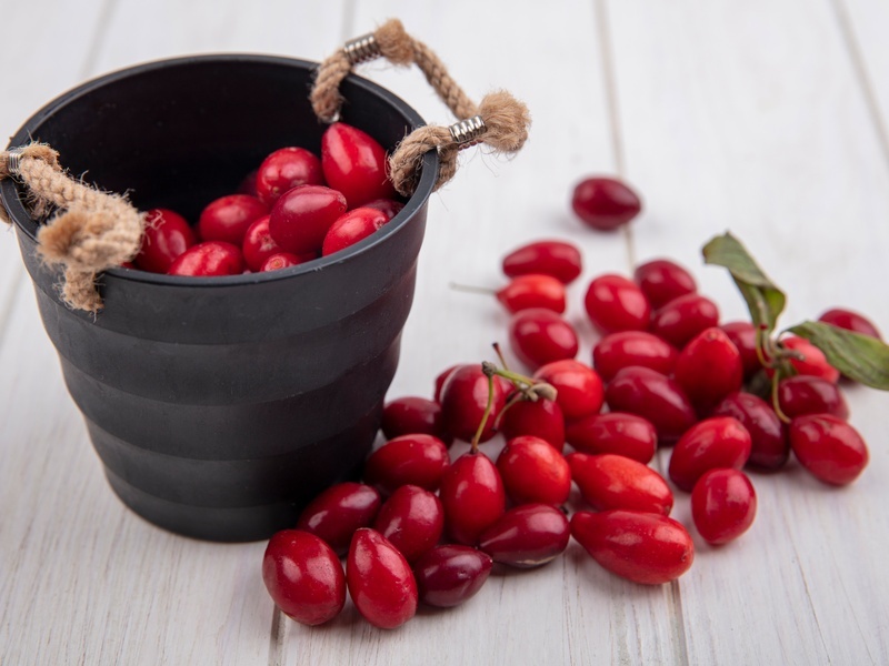     Фото: freepik.com