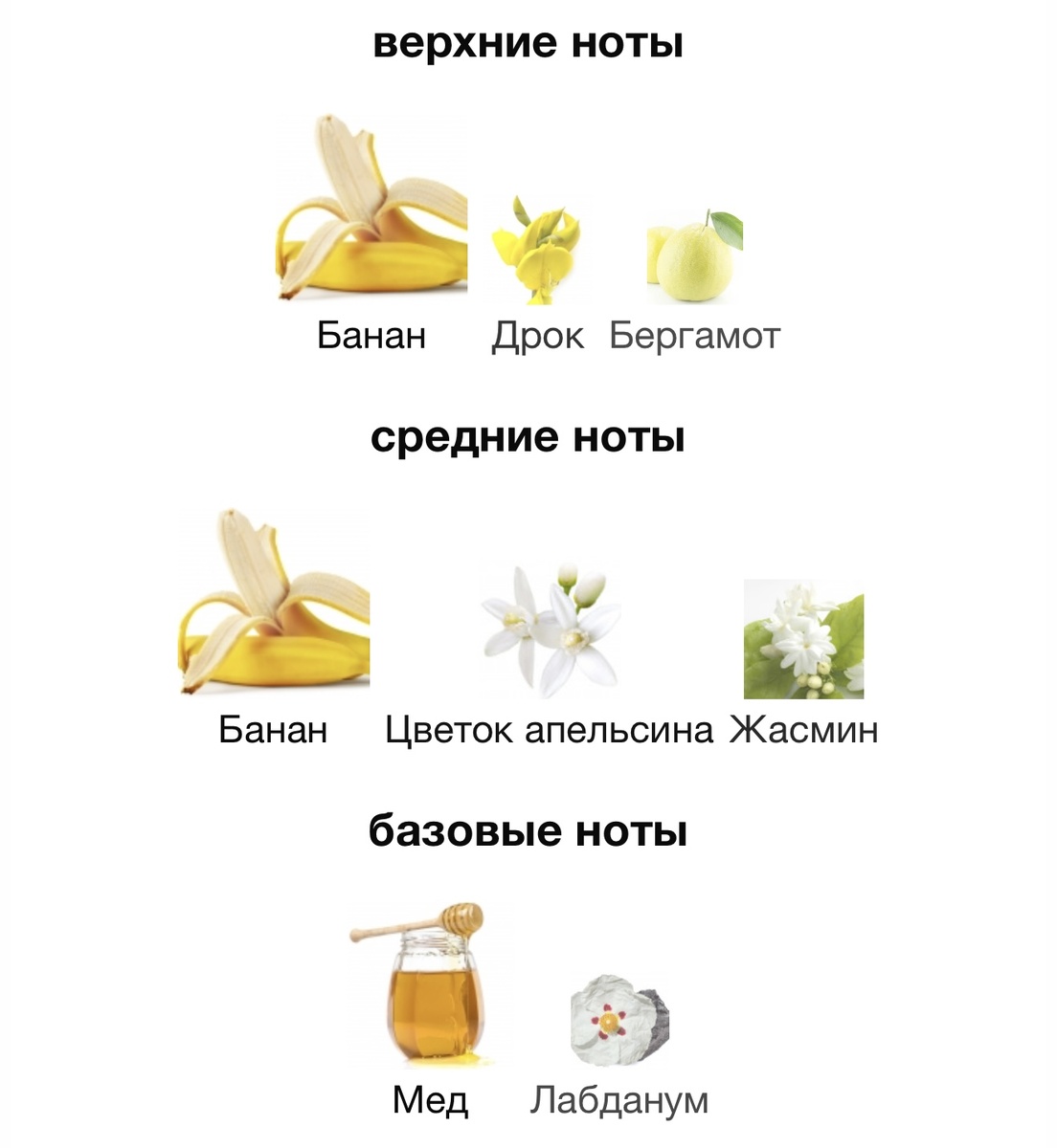 Ольфакторная пирамида с сайта fragrantica.ru