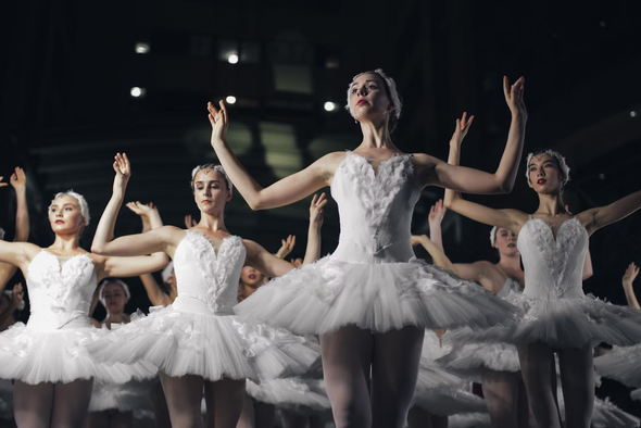     Michael Afonso/Unsplash