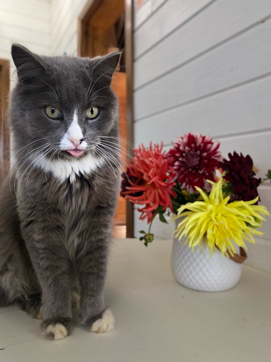 Киану показывает язык неудачному лету