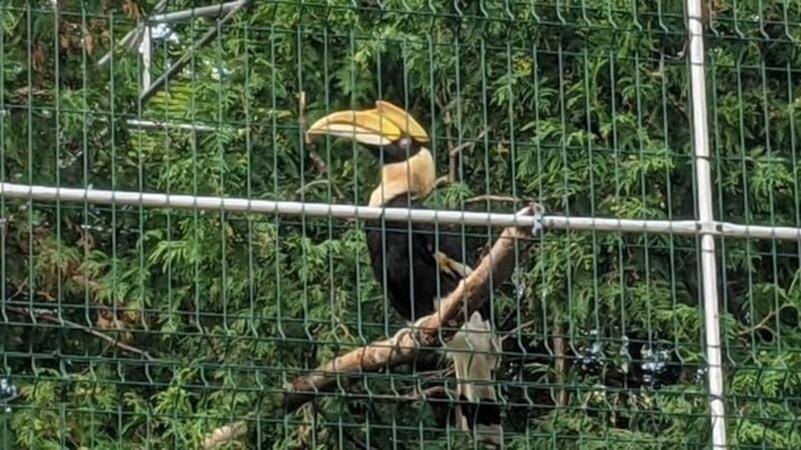    Фото: Ленинградский зоопарк