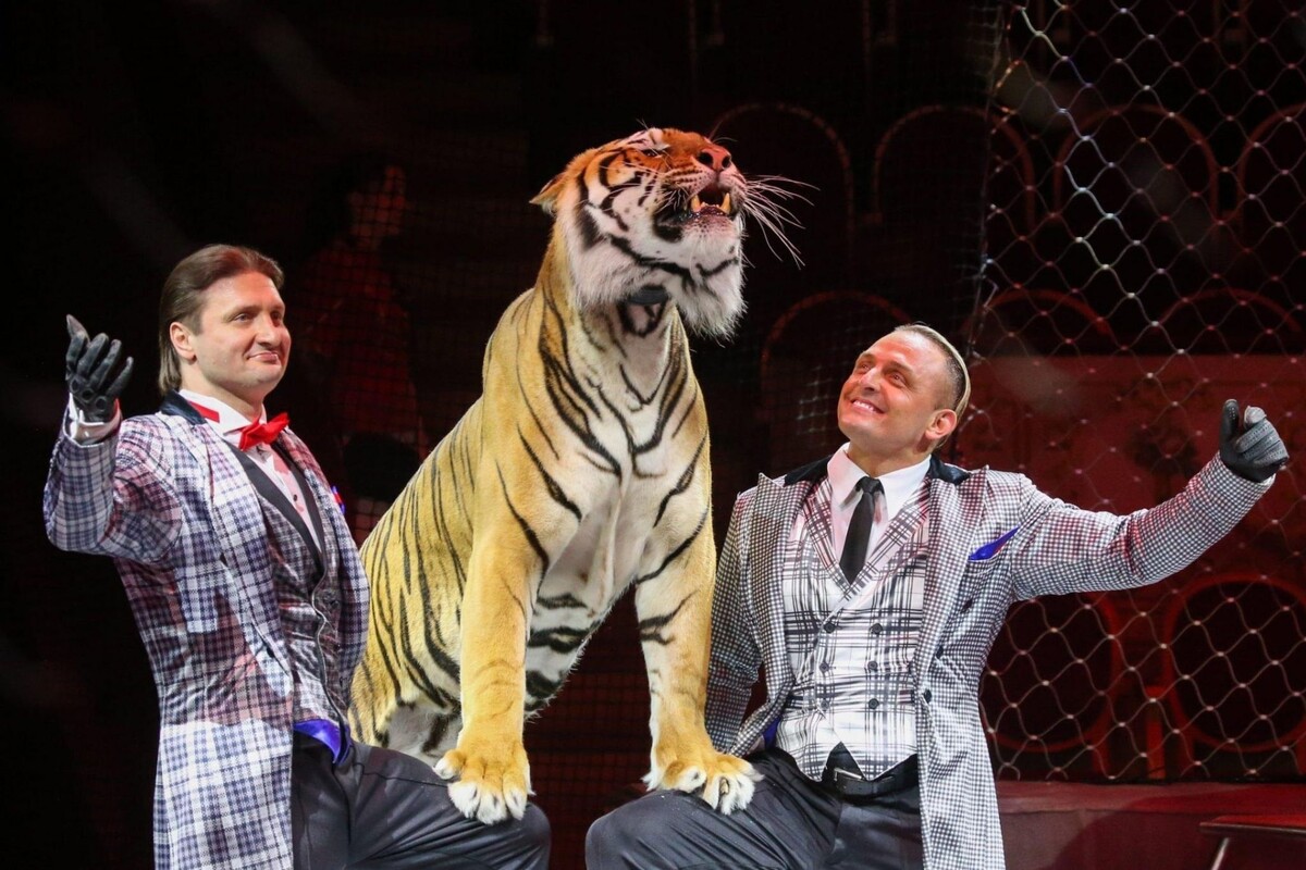 Цирк Запашных