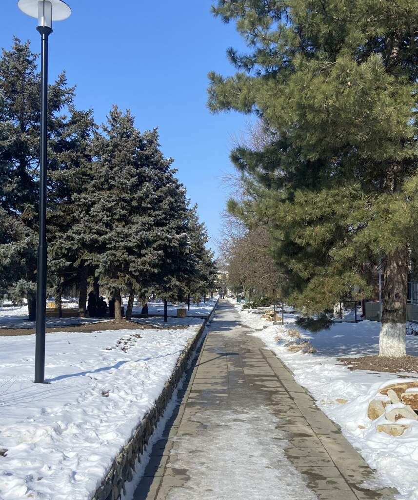    Фото: "Веселовские вести" Веселовские вести