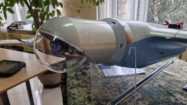    © Sputnik / Александр Жибуль